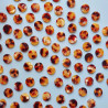 Boutons - Solstice 15mm - Calissone