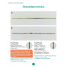 I discover Brazilian bracelets - Calissone