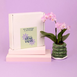 Modeling & gardening box - Make your flower pot and sow your aromatic plants! - Calissone