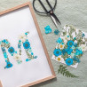 DIY blue alphabet herbarium kit - Calissone