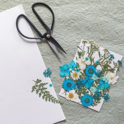 DIY blue alphabet herbarium kit - Calissone