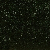 Sequins on velvet - Forest green - Calissone