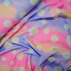 Jersey degraded Marguerite jersey - Calissone