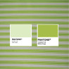 Woven sailor top - Berlingot Lime - Calissone