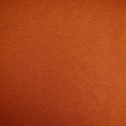 Light sweatshirt - rust - Calissone