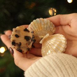 Shell hair clip - Multicolor - Calissone