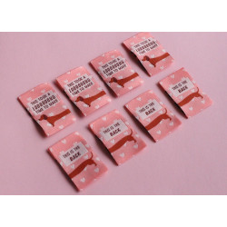Etiquettes Cosy Club - Chien saucisse - Lot x6 - Calissone