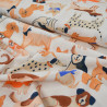 Cotton poplin Dogs - Calissone