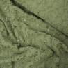 Dentelle florale - Vert - Calissone