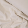 Organic cotton ribbing - Ecru - Calissone