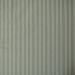 Striped Tencel twill - Light mint - Calissone