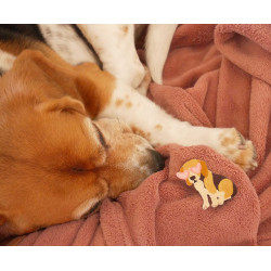Patch thermocollant Beagle - Calissone