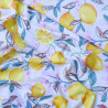 Lemon coated cotton canvas - Calissone