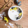 DIY Immortelle and eucalyptus flower candle kit - Calissone