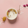 Kit DIY bougie fleurie Jasmin et Phalaris - Calissone