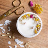 Kit DIY bougie fleurie Jasmin et Phalaris - Calissone